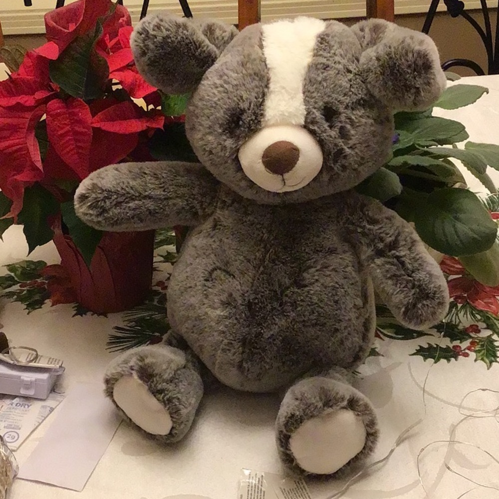 Stuffed toy bear